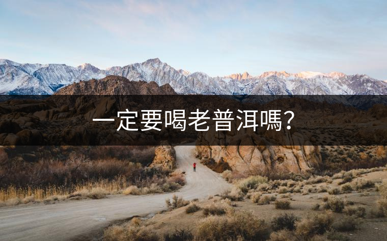 一定要喝老普洱嗎? 一定要喝老普洱嗎?