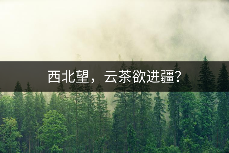 西北望，云茶欲進疆？