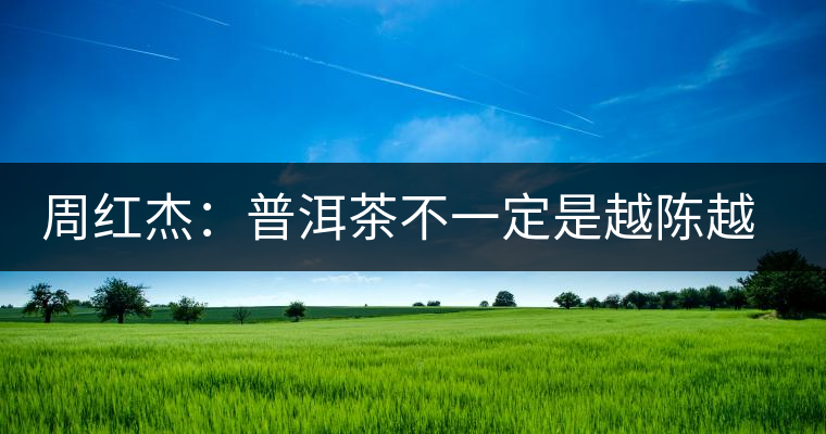 周紅杰：普洱茶不一定是越陳越香、越陳越好