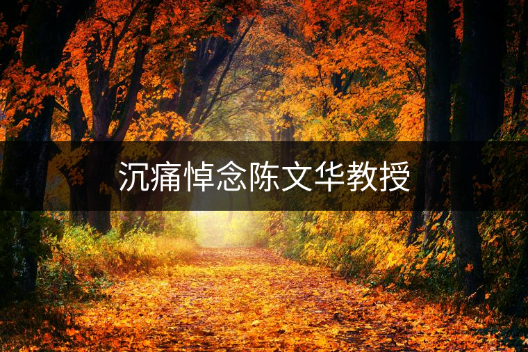 沉痛悼念陳文華教授 沉痛悼念陳文華教授