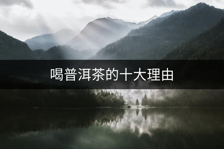 喝普洱茶的十大理由 喝普洱茶的十大理由