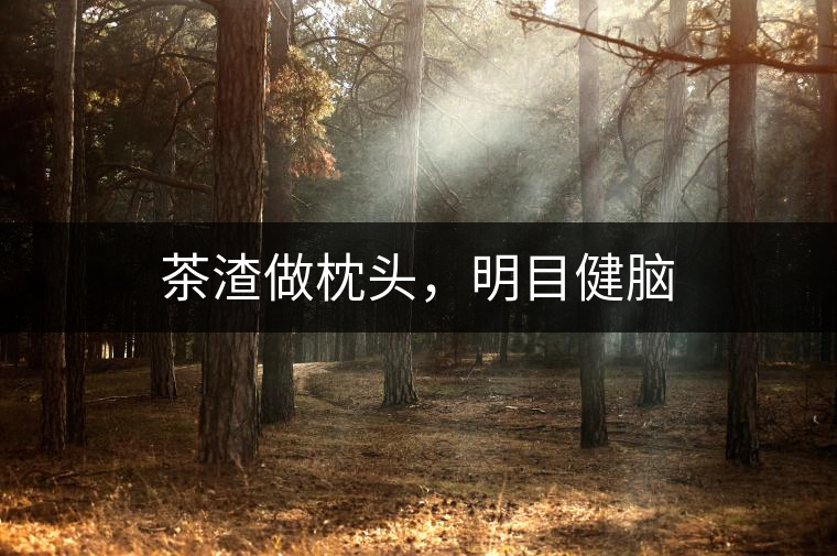 茶渣做枕頭，明目健腦