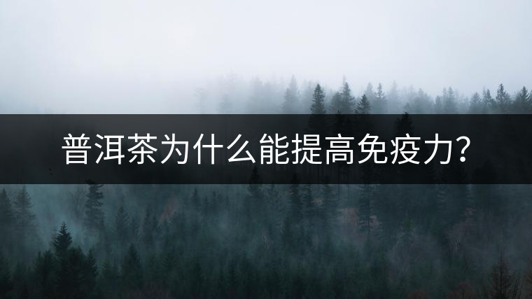 普洱茶為什么能提高免疫力？