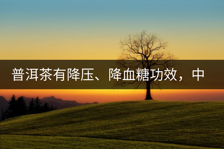 普洱茶有降壓、降血糖功效，中老年人不再懼怕糖尿病