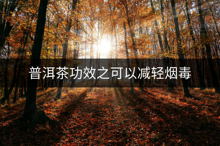普洱茶功效之可以減輕煙毒