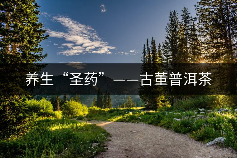 養(yǎng)生“圣藥”——古董普洱茶 養(yǎng)生“圣藥”——古董普洱茶