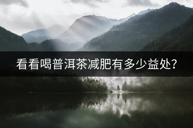 看看喝普洱茶減肥有多少益處？