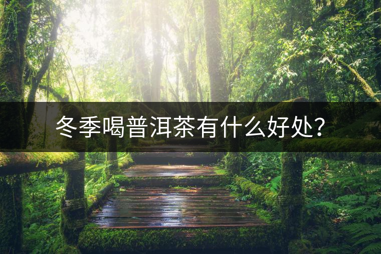 冬季喝普洱茶有什么好處？
