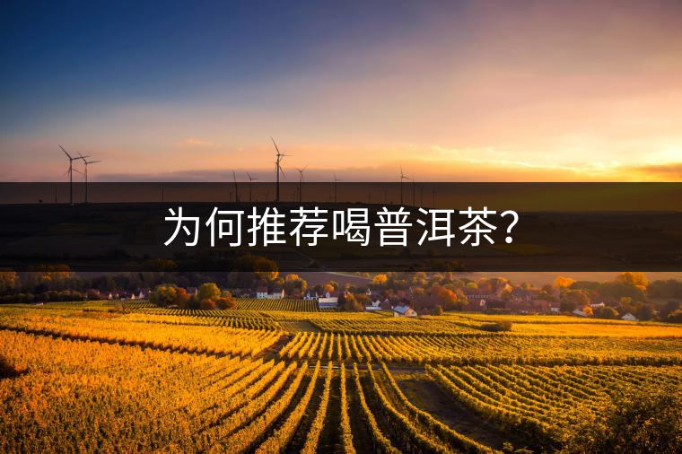 為何推薦喝普洱茶？