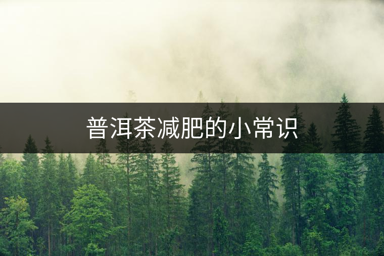 普洱茶減肥的小常識(shí)