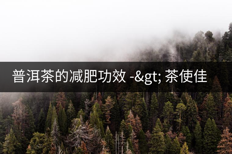 普洱茶的減肥功效 -> 茶使佳人更苗條 普洱茶的減肥功效 -> 茶使佳人更苗條