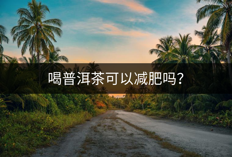 喝普洱茶可以減肥嗎？