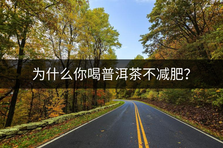 為什么你喝普洱茶不減肥？