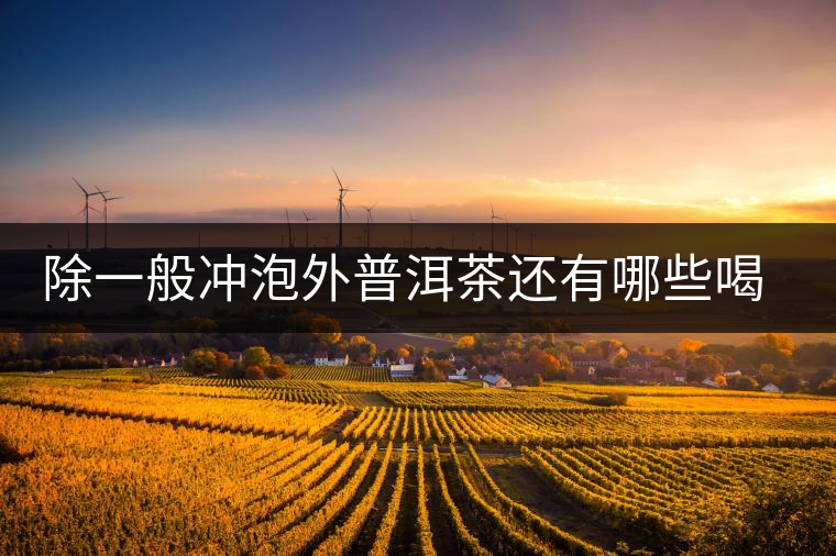 除一般沖泡外普洱茶還有哪些喝法？