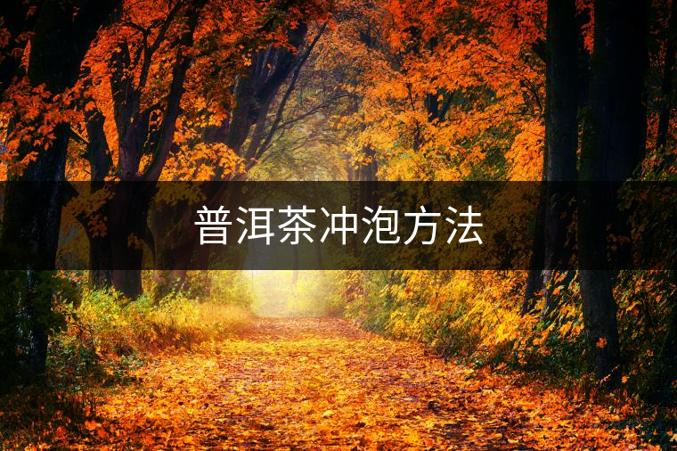 普洱茶沖泡方法 普洱茶沖泡方法