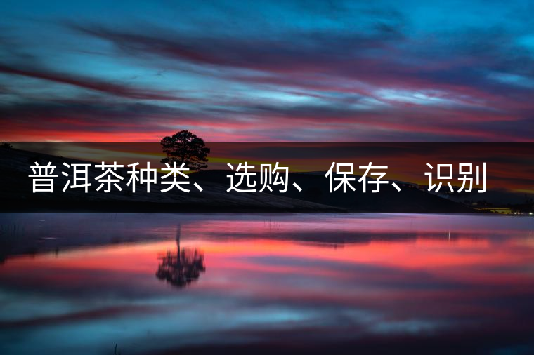 普洱茶種類、選購、保存、識別、沖泡