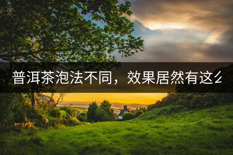 普洱茶泡法不同，效果居然有這么大區(qū)別！