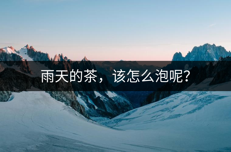 雨天的茶，該怎么泡呢？