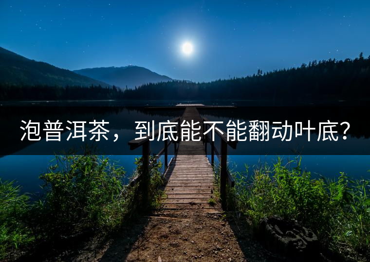 泡普洱茶，到底能不能翻動(dòng)葉底？