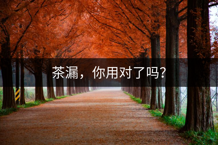 茶漏，你用對(duì)了嗎？