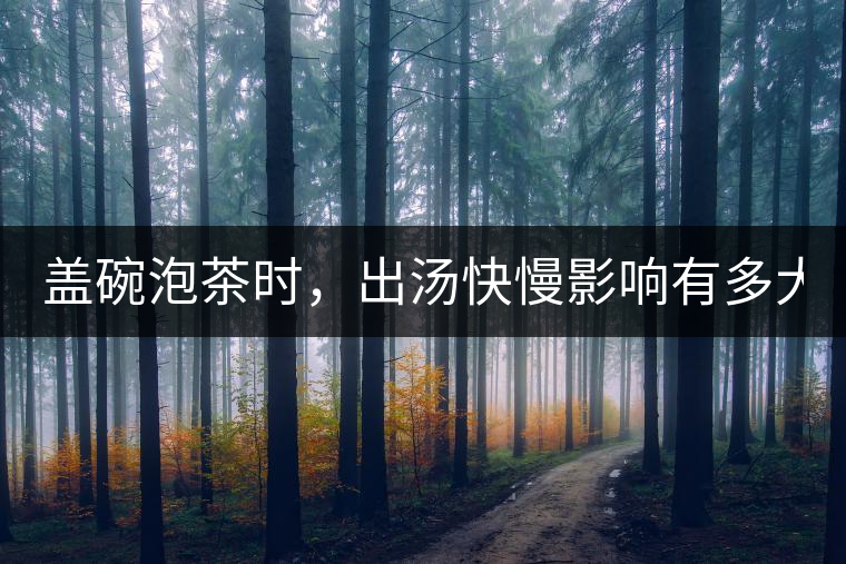 蓋碗泡茶時，出湯快慢影響有多大？