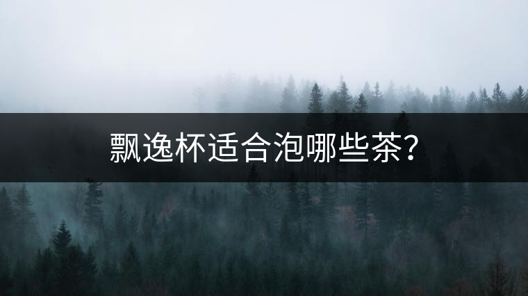 飄逸杯適合泡哪些茶？