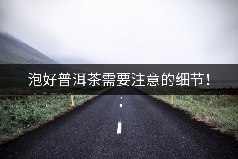 泡好普洱茶需要注意的細(xì)節(jié)！