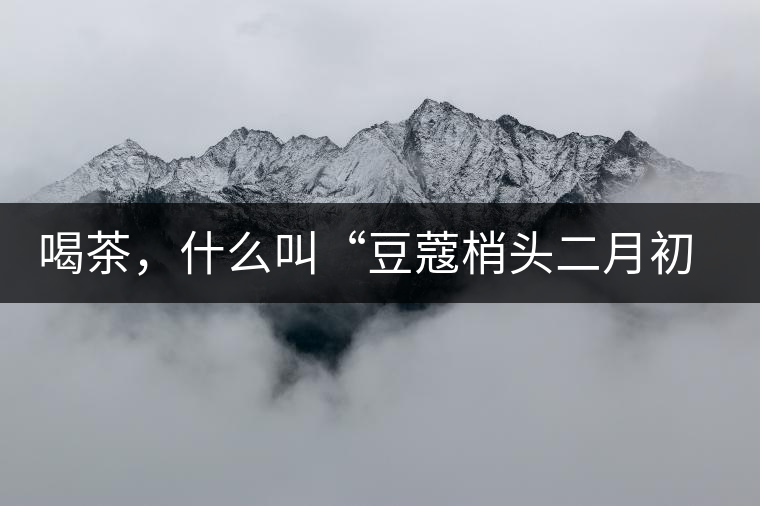 喝茶，什么叫“豆蔻梢頭二月初”？