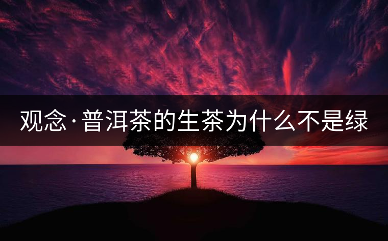 觀念·普洱茶的生茶為什么不是綠茶？