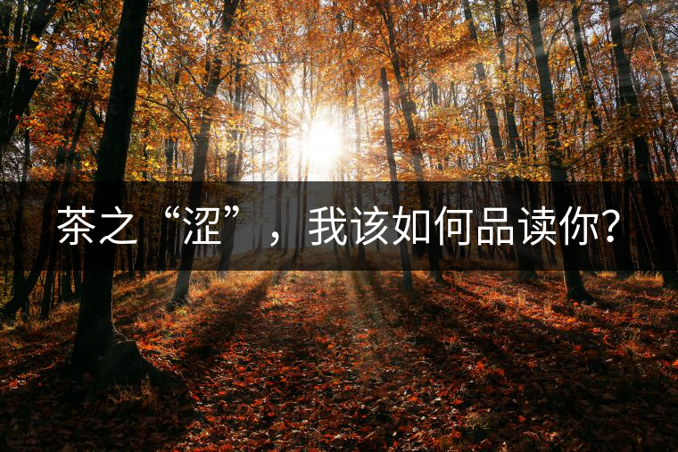 茶之“澀”，我該如何品讀你？