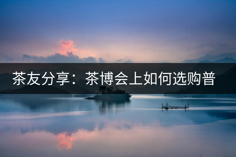 茶友分享：茶博會(huì)上如何選購普洱茶？