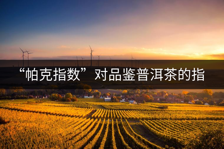 “帕克指數(shù)”對品鑒普洱茶的指導(dǎo)意義在哪里？「跨界有道」