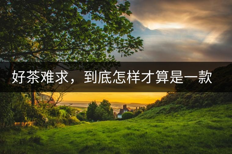 好茶難求，到底怎樣才算是一款好普洱茶？