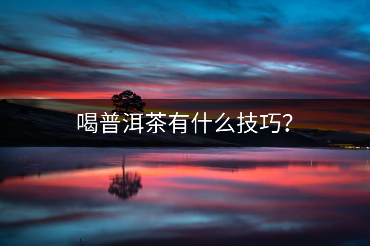 喝普洱茶有什么技巧？