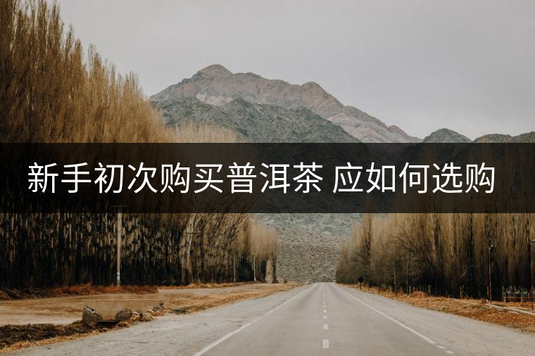 新手初次購買普洱茶 應(yīng)如何選購？