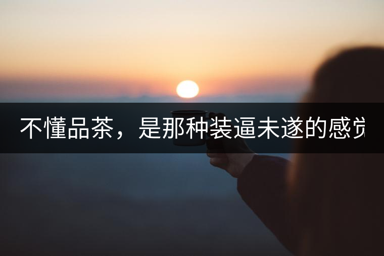 不懂品茶，是那種裝逼未遂的感覺？