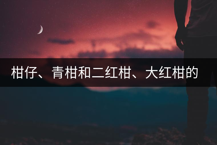 柑仔、青柑和二紅柑、大紅柑的區(qū)別，你可知道？