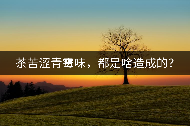 茶苦澀青霉味，都是啥造成的？