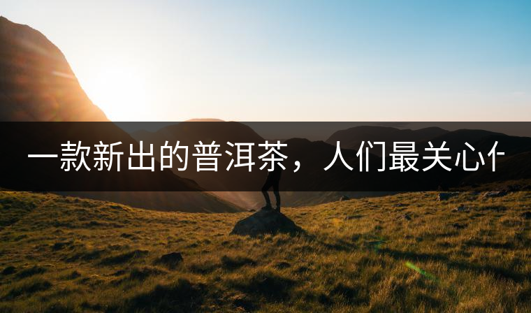 一款新出的普洱茶，人們最關(guān)心什么?