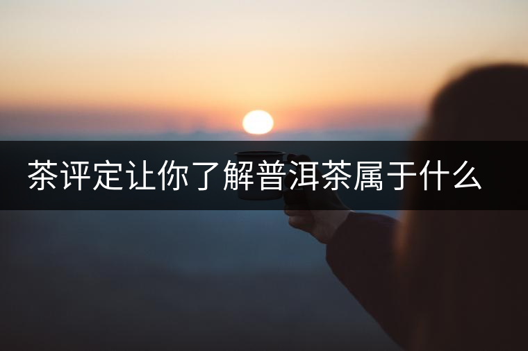 茶評(píng)定讓你了解普洱茶屬于什么茶系？