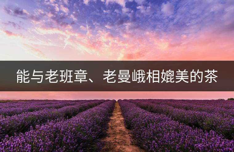 能與老班章、老曼峨相媲美的茶