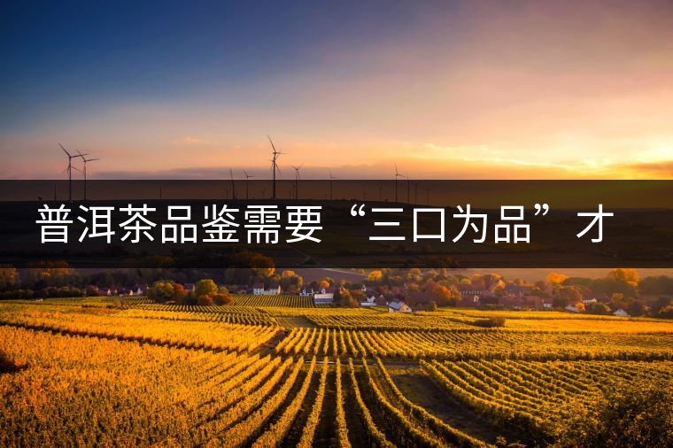 普洱茶品鑒需要“三口為品”才真實，那從哪里入手品鑒呢？