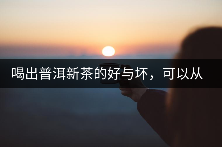 喝出普洱新茶的好與壞，可以從這五點(diǎn)出發(fā)