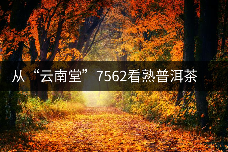 從“云南堂”7562看熟普洱茶發(fā)酵度的變遷