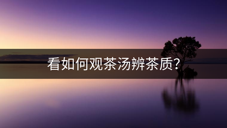 看如何觀茶湯辨茶質(zhì)？