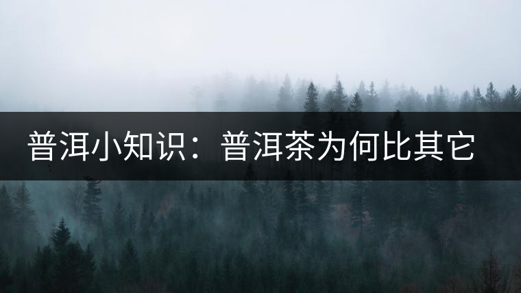 普洱小知識(shí)：普洱茶為何比其它茶葉耐泡？