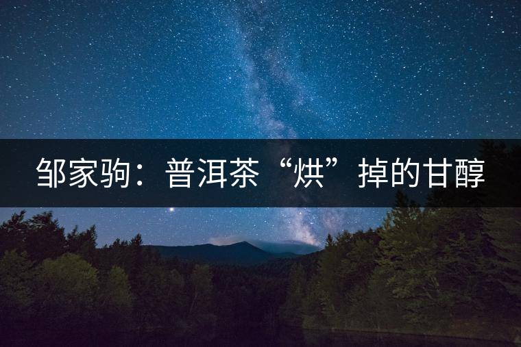 鄒家駒:普洱茶“烘”掉的甘醇 鄒家駒:普洱茶“烘”掉的甘醇
