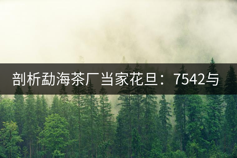 剖析勐海茶廠當(dāng)家花旦：7542與7572的市場(chǎng)價(jià)值