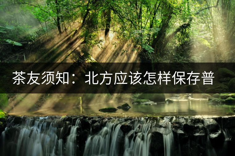茶友須知:北方應(yīng)該怎樣保存普洱茶? 茶友須知:北方應(yīng)該怎樣保存普洱茶?