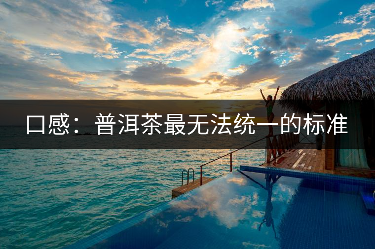 口感：普洱茶最無法統(tǒng)一的標準